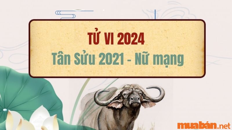 Bình giải chi tiết lá số tử vi Tân Sửu 2021 nữ mạng năm 2024