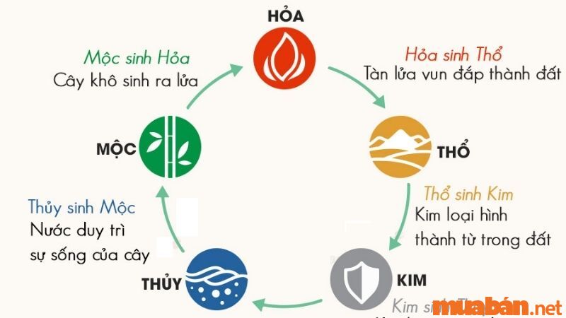 Tử vi Tân Sửu 2021 nữ mạng năm 2024 xét theo ngũ hành