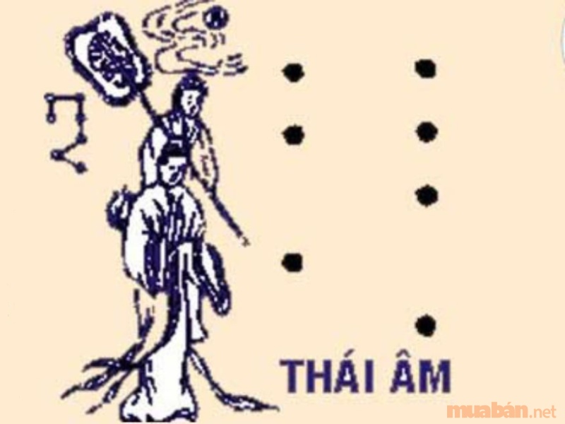 Nam Tân Dậu 1981 năm 2024 được sao Thái Âm chiếu mệnh
