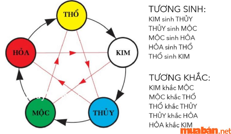 Theo ngũ hành thì năm nay vô cùng xấu đối với chủ mệnh Nhâm Ngọ 2002