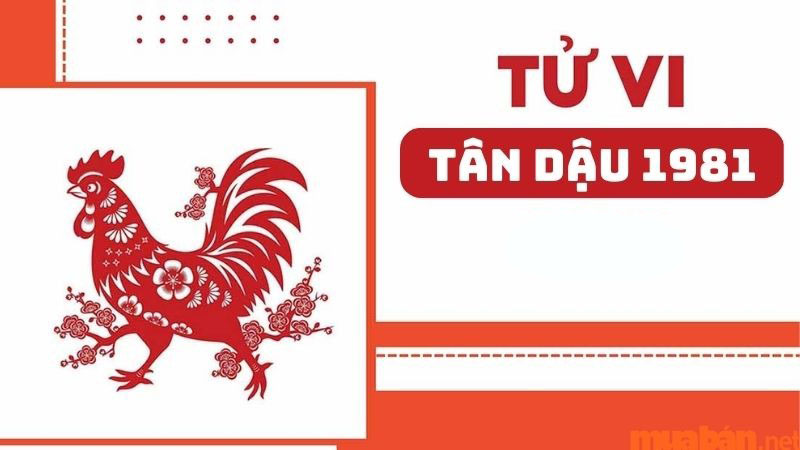 Tử vi Tân Dậu 1981 nữ mạng năm 2024