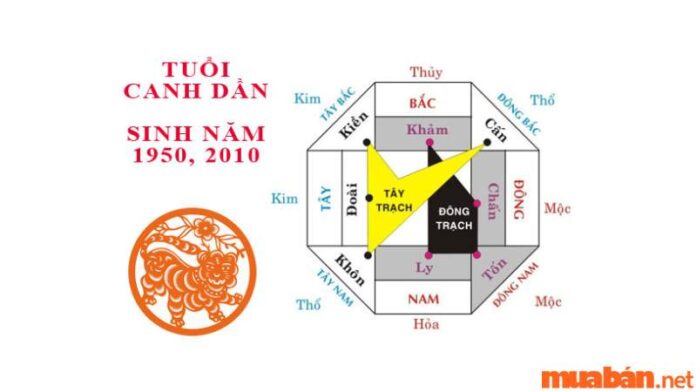 Tuổi Canh Dần Hợp Hướng Nào?