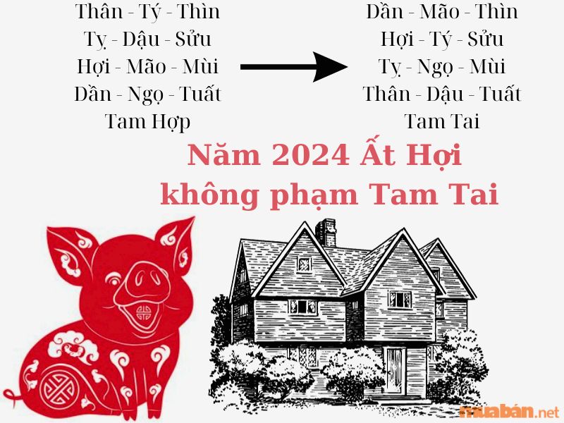 Năm 2024 ất hợi có phạm Tam Tai không?