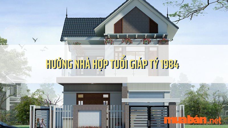 Tuổi Tý hợp hướng nào? Hướng nhà hợp tuổi Giáp Tý 1984