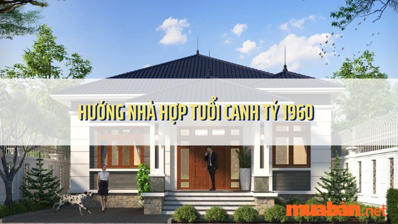 Tuổi Tý hợp hướng nào? Hướng nhà hợp tuổi Canh Tý 1960