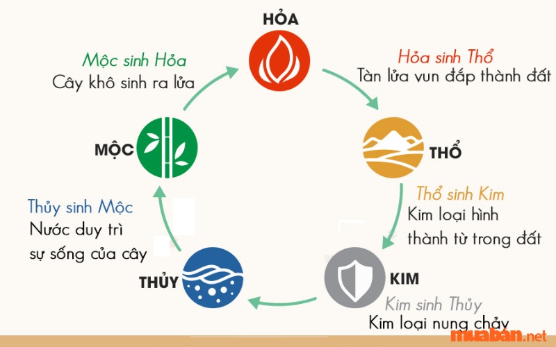 Ngũ hành tử vi Mậu Thân 1968 nữ mạng năm 2024