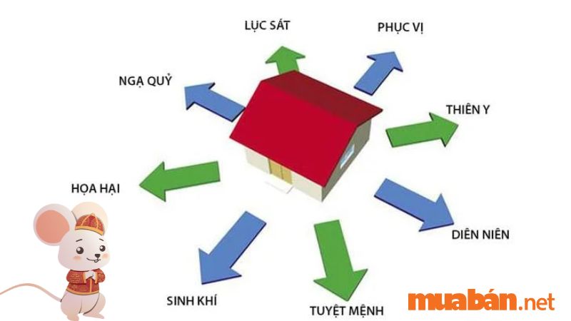 Tuổi Bính Tý hợp hướng nào? Các hướng phong thủy tốt cho tuổi Bính Tý