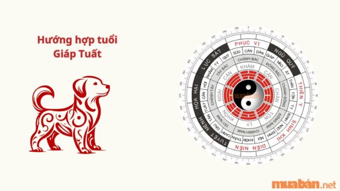 Tuổi Giáp Tuất hợp hướng nào