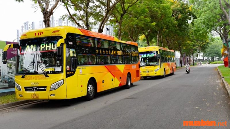 Nhà xe An Phú Buslines là sự lựa chọn hoàn hảo cho bạn khi muốn đi từ Sài Gòn đến Quy Nhơn - Bình Định