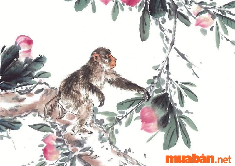 Năm 2024, vận niên của Đinh Hợi 2007 là Hầu Thực Quả, nghĩa là khỉ được tự do ăn hoa quả thỏa thích