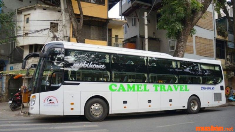 Camel Travel sử dụng xe với chất lượng cao và đảm bảo sự thoải mái cho hành khách