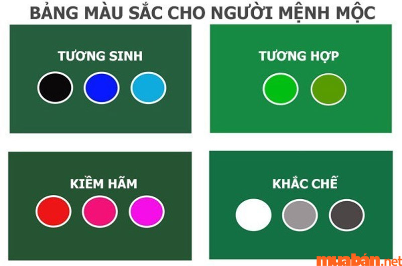 Màu hợp và khắc mệnh tuổi Quý Mùi năm 2024