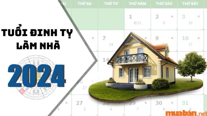 Tuổi Đinh Tỵ xây nhà năm 2024