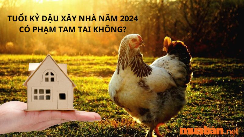 Tuổi Kỷ Dậu xây nhà năm 2024 có phạm Tam Tai không?