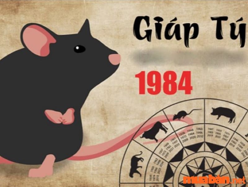 Giáp Tý 1984 cầm tinh con chuột