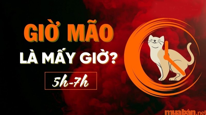 Giờ Mão là mấy giờ? Vận mệnh người vào giờ Mão 