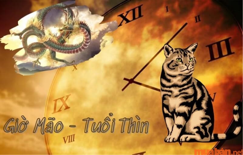 Tử vi của người tuổi Thìn sinh vào giờ Mão