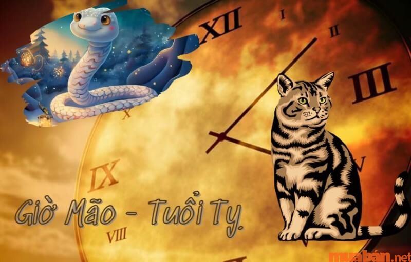 Tử vi của người tuổi Tỵ sinh vào giờ Mão