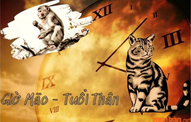 Tử vi của người tuổi Thân sinh vào giờ Mão