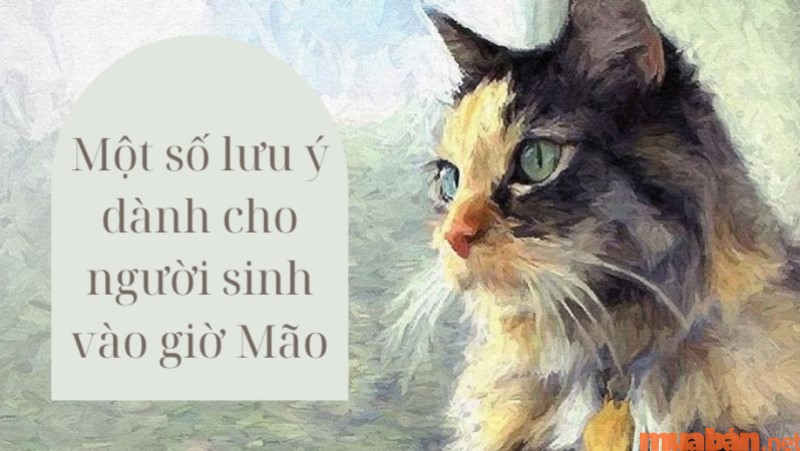 Lưu ý về cuộc đời những người sinh giờ Mão