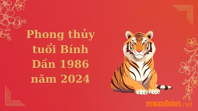 Phong thủy tuổi Bính Dần 1986 năm 2024