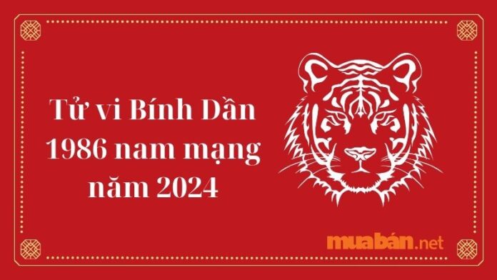 Luận giải Tử vi Bính Dần 1986 nam mạng năm 2024