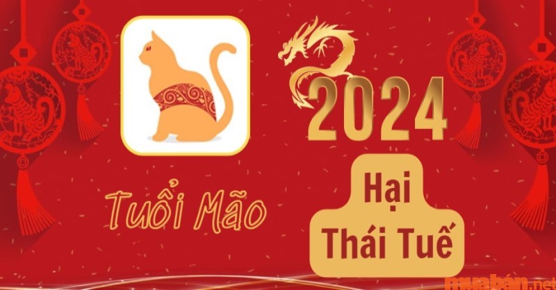 Tuổi Mão năm trong các tuổi phạm Thái Tuế năm 2024