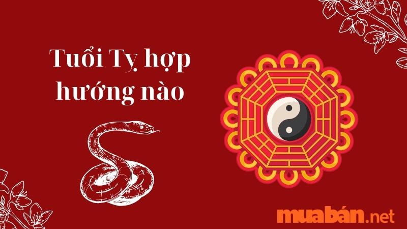 Tuổi Tỵ hợp hướng nào