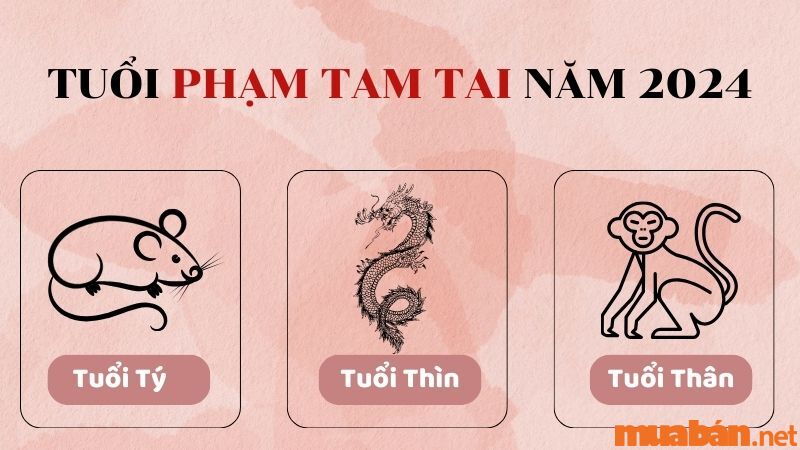 3 tuổi phạm Tam Tai năm 2024 - Cách hóa giải Tam Tai, giảm bớt vận xui