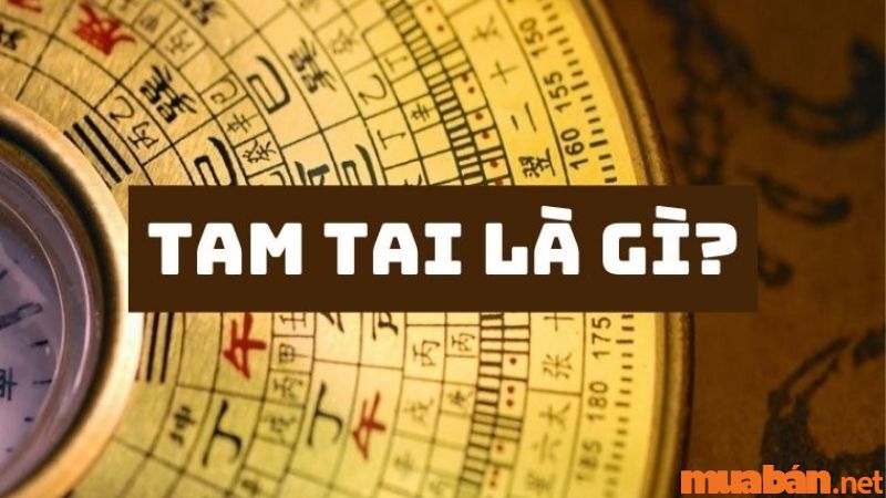 Tam Tai là gì? Tuổi phạm Tam Tai năm 2024 là những tuổi nào?