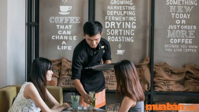 Nhân viên phục vụ quán cafe bưng đồ đến bàn cho khách