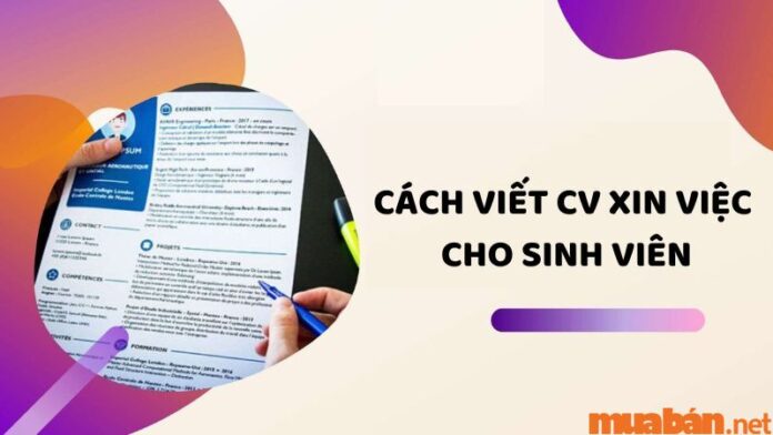 Cách viết CV xin việc cho sinh viên chưa có kinh nghiệm