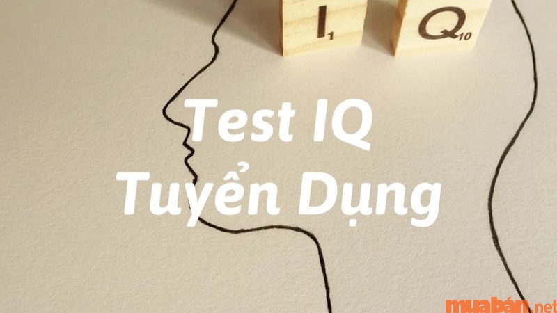 Xem các bài test IQ khi đi phỏng vấn và kinh nghiệm để làm test đạt điểm cao