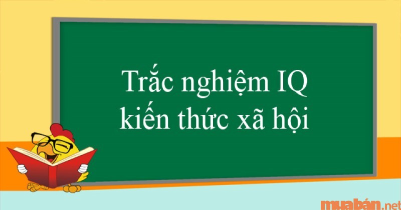 Các bài test IQ khi đi phỏng vấn về kiến thức xã hội