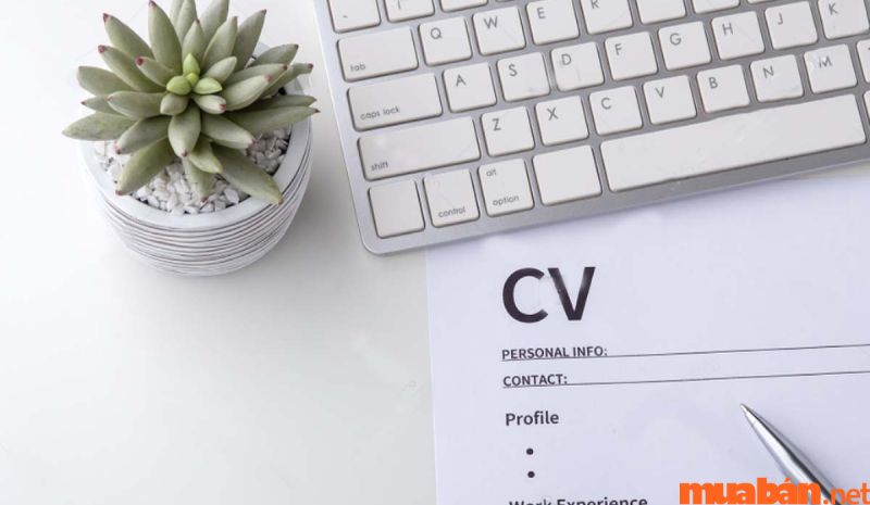 Phần giới thiệu trên CV Marketing là nơi tạo ấn tượng mạnh nhất cho nhà tuyển dụng