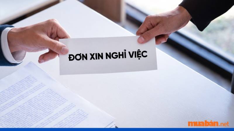 Dừng việc ngay khi công ty có dấu hiệu nợ lương