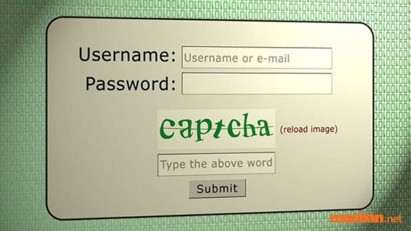 Nên tránh công việc gõ captcha