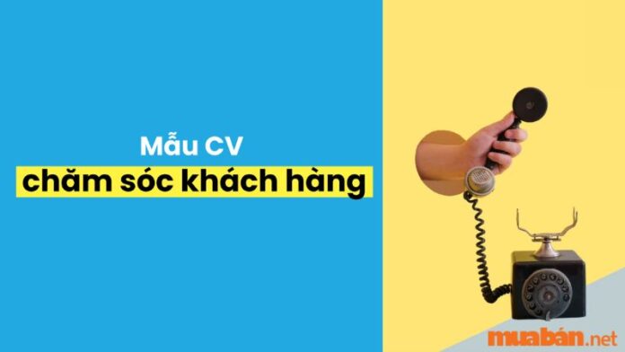 Mẫu CV chăm sóc khách hàng mới nhất