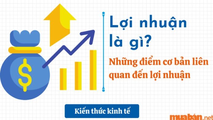 lợi nhuận là gì