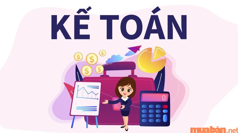 Phân loại kế toán theo chức năng có kế toán quản trị, kế toán tài chính