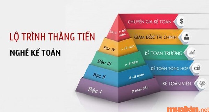 Lộ trình thăng tiến trong ngành kế toán là gì?