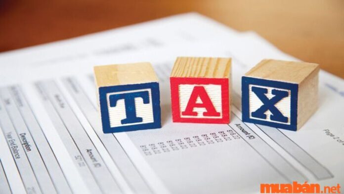Mô tả công việc kế toán thuế và 5+ yêu cầu cần có