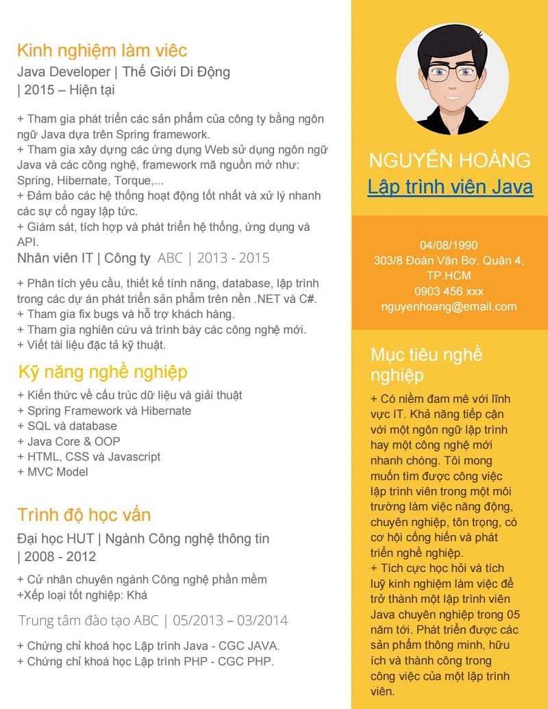 Mẫu CV lập trình viên Java (Nguồn: Internet)
