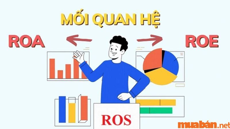 Mối liên hệ giữa các loại tỷ suất lợi nhuận ROS - ROA - ROE