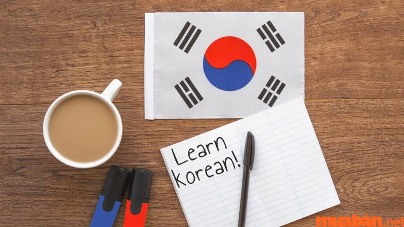 Câu hỏi phỏng vấn du học Đại sứ quán Hàn Quốc về việc học tiếng Hàn
