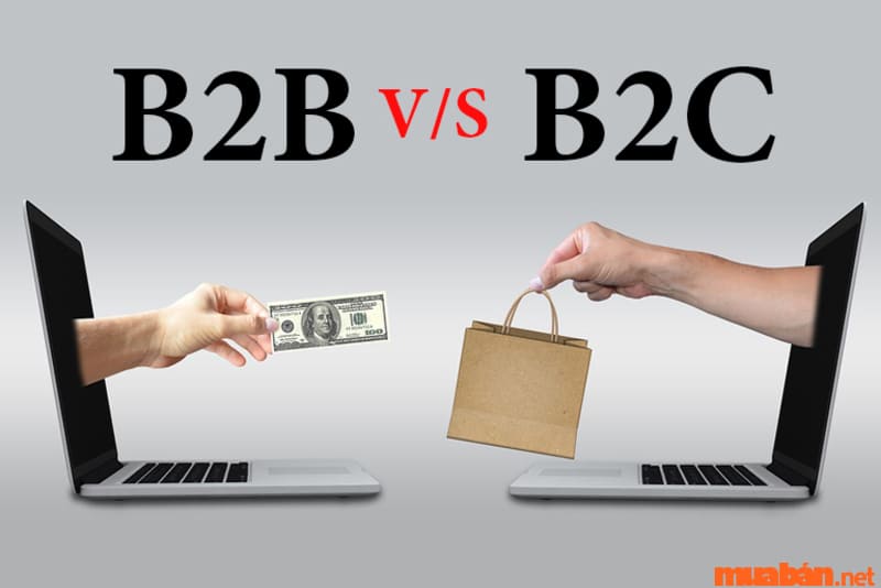 B2B và B2C
