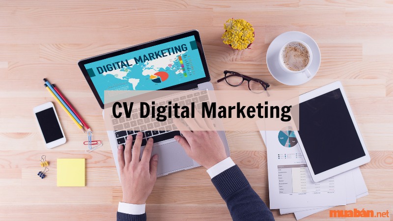 Cách viết CV Digital Marketing nổi bật trước mọi đối thủ