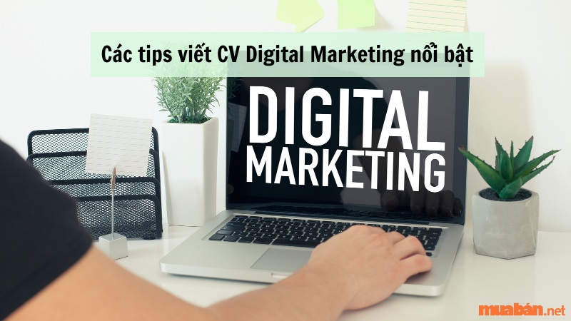 Các tips viết CV Digital Marketing nổi bật