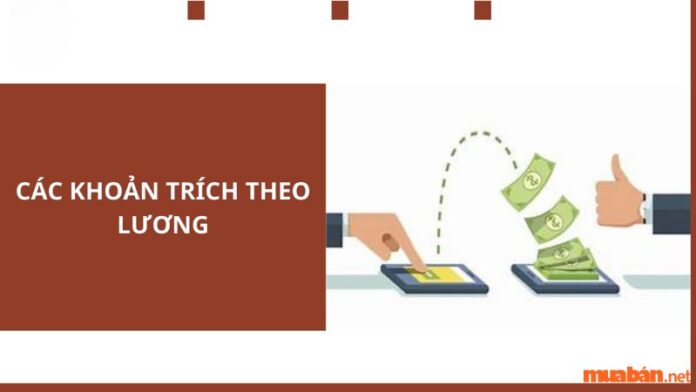 Các khoản trích theo lương và lưu ý cần biết!