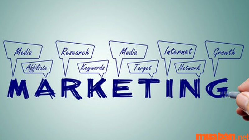 Học Marketing ra làm gì? Chọn ngành nghiên cứu thị trường